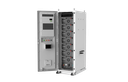 Dyness BF100 (100 kWh)