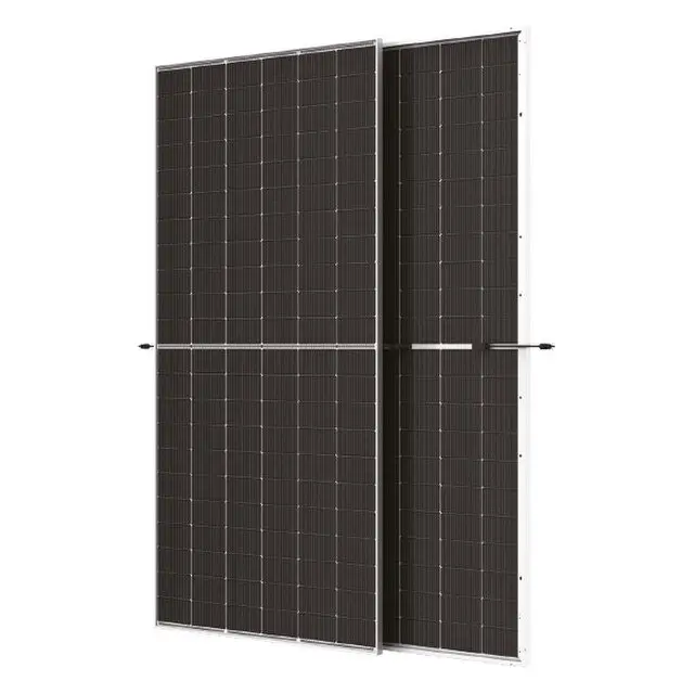 Trina 625Wp NEG19RC.20 Bifacial (TS4)